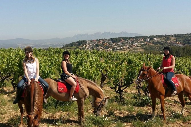 Horseback Ride, Penedes, Wine Tasting & Tapas Private Tour - From Barcelona to the Penedès Vineyards