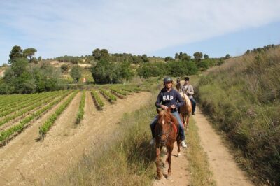 Horseback Ride, Penedes, Wine Tasting & Tapas Private Tour