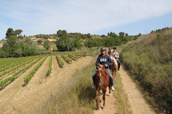 Horseback Ride, Penedes, Wine Tasting & Tapas Private Tour - Parés Baltà and the 90-Minute Wine Visit