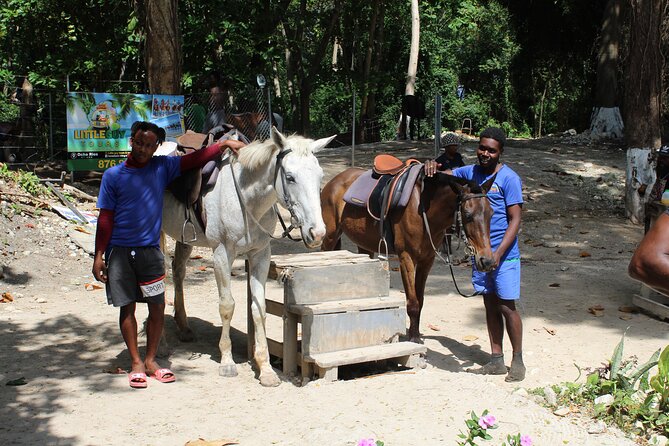 Horseback Ride & Swim Jamaica/Montego Bay - The beach ride and Caribbean swim