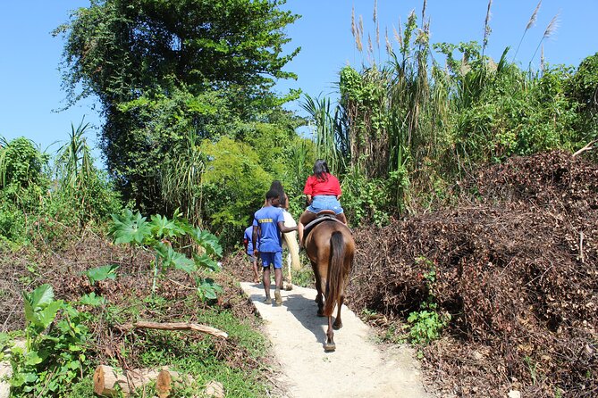 Horseback Ride & Swim Jamaica/Montego Bay - Guides, photos, and the human touch