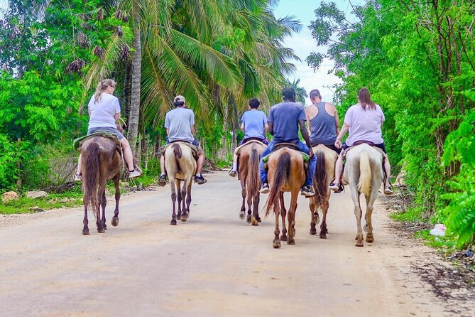 HORSEBACK - RIDE Through Punta Cana - Pickup makes the price easier to judge