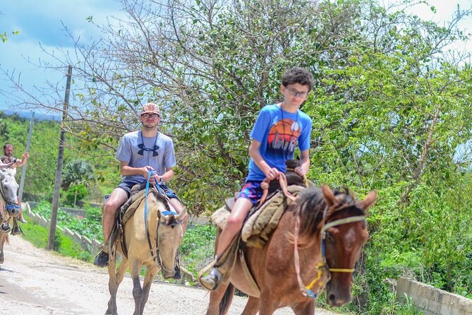 HORSEBACK - RIDE Through Punta Cana - Horse condition is the serious question