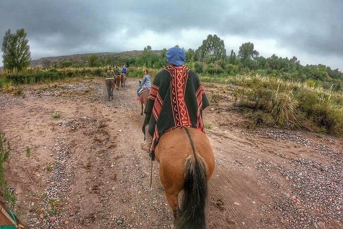 Horseback ride through vineyards followed by gourmet lunch - Why this Mendoza horseback ride works so well