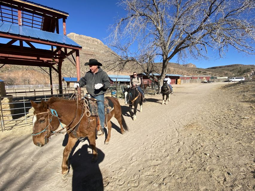 Horseback Ride thru Joshua Tree Forest with Buffalo & Lunch - Key points to know before you book