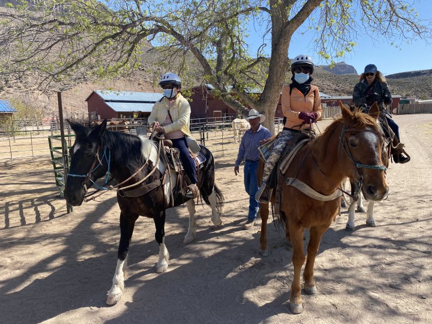 Horseback Ride thru Joshua Tree Forest with Buffalo & Lunch - Lunch, music, and an old Western mood