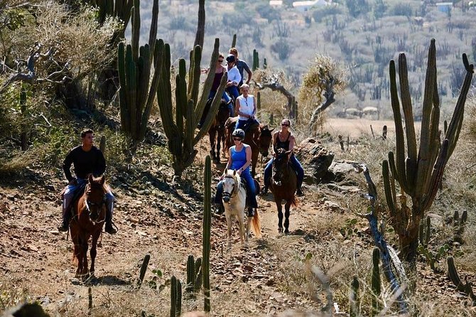 Horseback Ride Tour to Natural Pool in Arikok National Park - Rancho Loco: getting comfortable before the trail