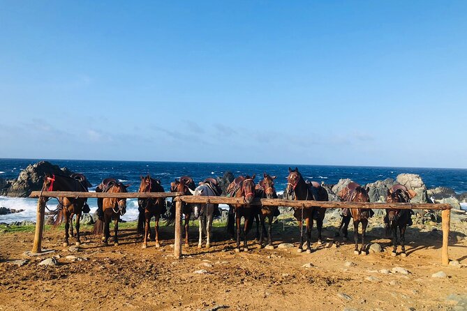 Horseback Ride Tour to Natural Pool in Arikok National Park - The ride back to Rancho Loco