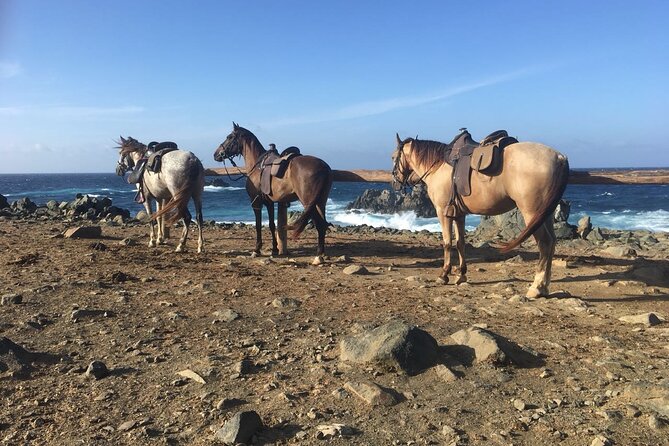 Horseback Ride Tour to Natural Pool in Arikok National Park - Morning, afternoon, and cruise ship timing