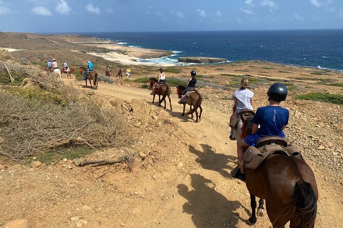 Horseback Ride Tour to Natural Pool in Arikok National Park - Who will enjoy this Aruba horseback ride?