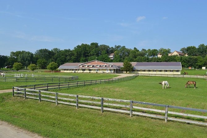 Horseback Rides, Interactions, and Petting Zoo - Rain or shine, with a few practical tradeoffs