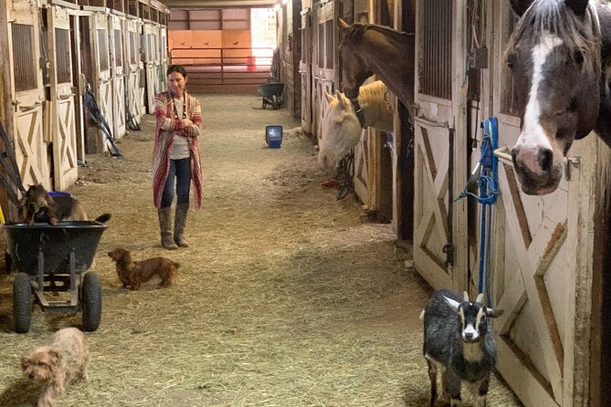 Horseback Rides, Interactions, and Petting Zoo - Is the $120 price good value?
