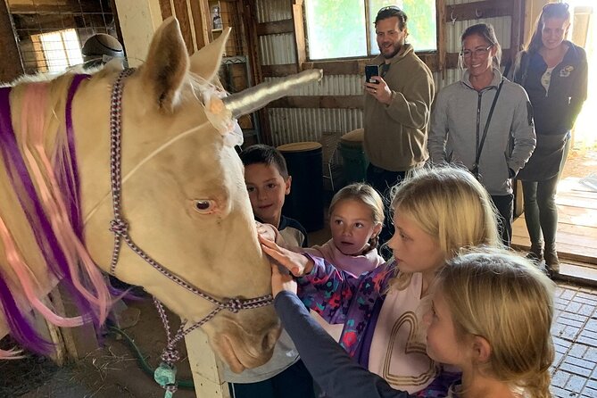 Horseback Rides, Interactions, and Petting Zoo - Meeting the horses and smaller farm animals