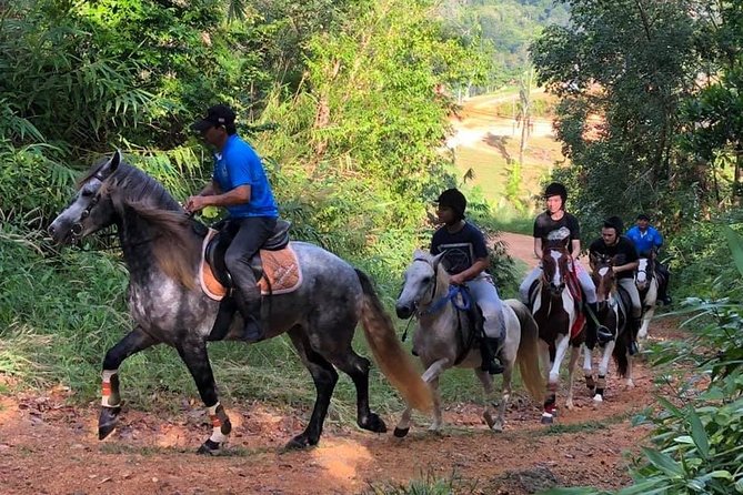 Horseback Riding 1 hour trail - Key points at a glance