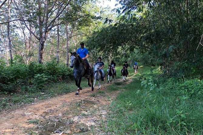 Horseback Riding 1 hour trail - Leaving the stable near Chalong