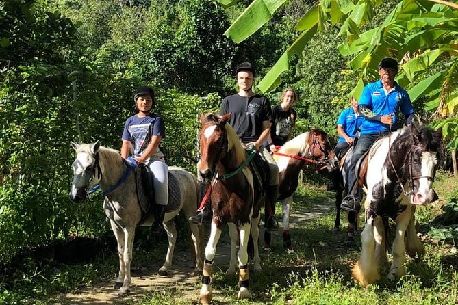 Horseback Riding 1 hour trail - Through rubber trees and fruit orchards