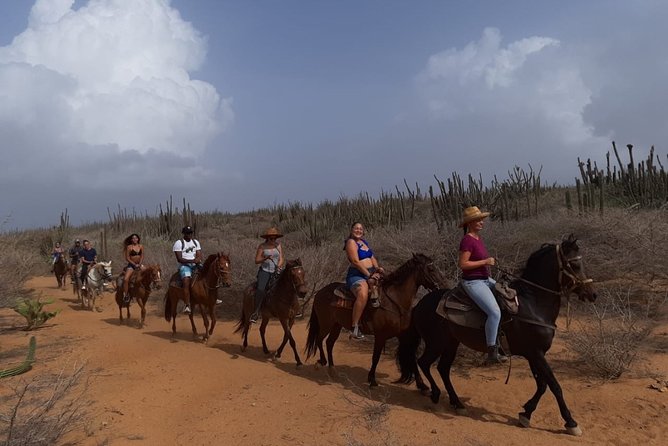 Horseback Riding 2 Hr SUNSET , Rock formation & North Coast Ride - The sunset viewpoint on the hill
