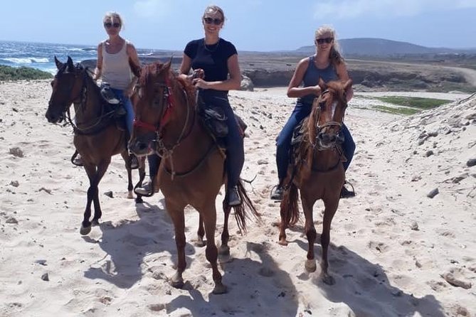 Horseback Riding 2 Hr SUNSET , Rock formation & North Coast Ride - Rock formations and a rough North Coast