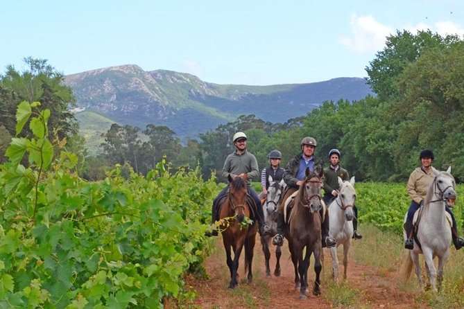 Horseback Riding, 4 Options-Mountain, Lesson Ring, Beach (2Hours) - Key points to know before booking