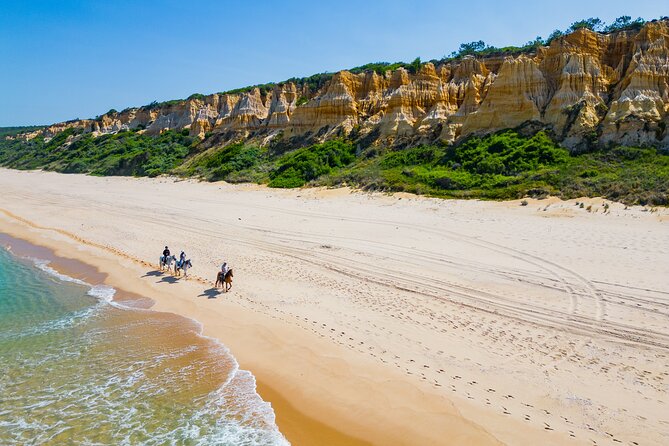 Horseback Riding, 4 Options-Mountain, Lesson Ring, Beach (2Hours) - Meeting your horse and finding the right pace