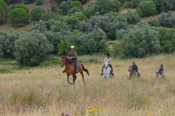 Horseback Riding, 4 Options-Mountain, Lesson Ring, Beach (2Hours) - Riding from the trees onto the beach
