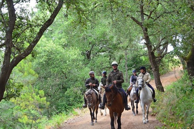 Horseback Riding, 4 Options-Mountain, Lesson Ring, Beach (2Hours) - The four riding choices and what they mean
