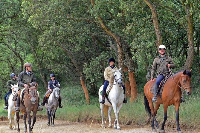 Horseback Riding, 4 Options-Mountain, Lesson Ring, Beach (2Hours) - What $154.76 means in practical value