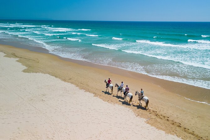 Horseback Riding, 4 Options-Mountain, Lesson Ring, Beach (2Hours) - Safety, comfort, and the liability agreement