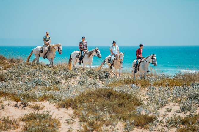 Horseback Riding, 4 Options-Mountain, Lesson Ring, Beach (2Hours) - Who will enjoy this Almada ride most