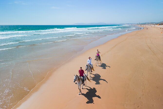 Horseback Riding, 4 Options-Mountain, Lesson Ring, Beach (2Hours) - Fossil cliffs, forest paths, and Atlantic views