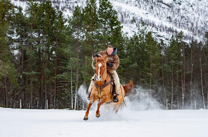 Horseback riding - Who should book this Alta horse ride?