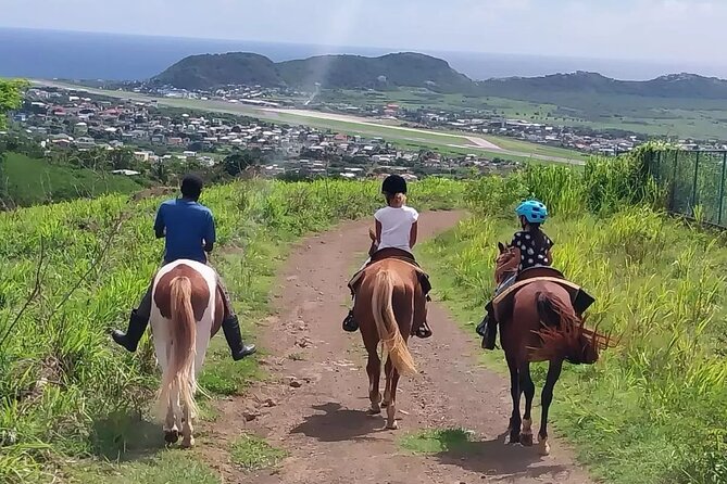 Horseback Riding, A Scenic Escape - Riding Through Fruit Trees and Tropical Forest