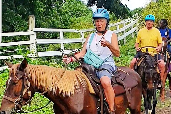 Horseback Riding, A Scenic Escape - The Short Walk to the Basseterre Viewpoint
