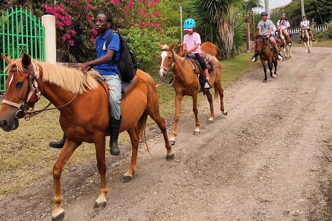 Horseback Riding, A Scenic Escape - Price, Timing, and Overall Value