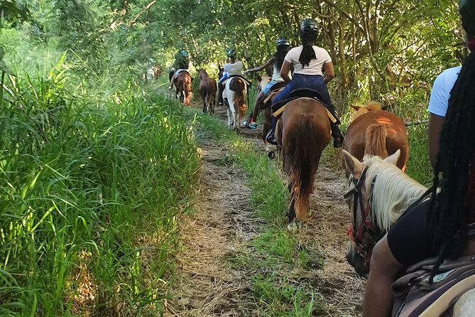 Horseback Riding, A Scenic Escape - The Strengths and the One Real Concern