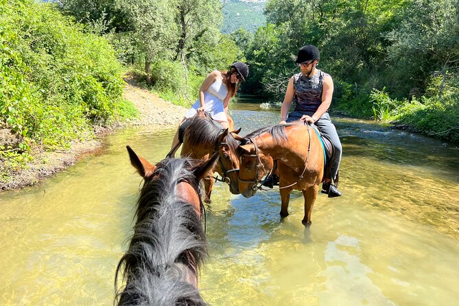 Horseback Riding Across River Ljuta with transport - Who should book this ride?
