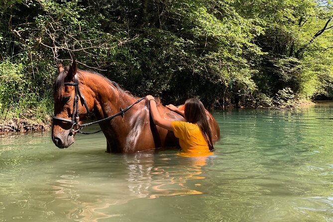 Horseback Riding Across River Ljuta with transport - Practical preparation for the river ride
