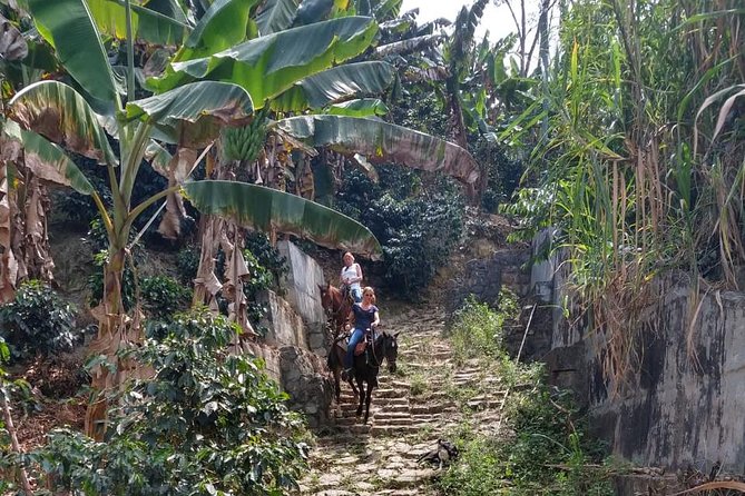 Horseback Riding Adventure from Medellin - Guides, horses, and safety