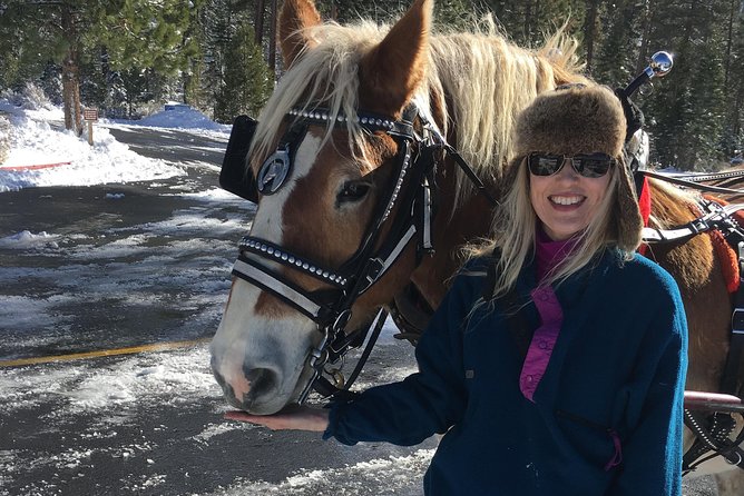 Horseback Riding Adventure from Reno - Riding through meadows, grasslands, and pine forests