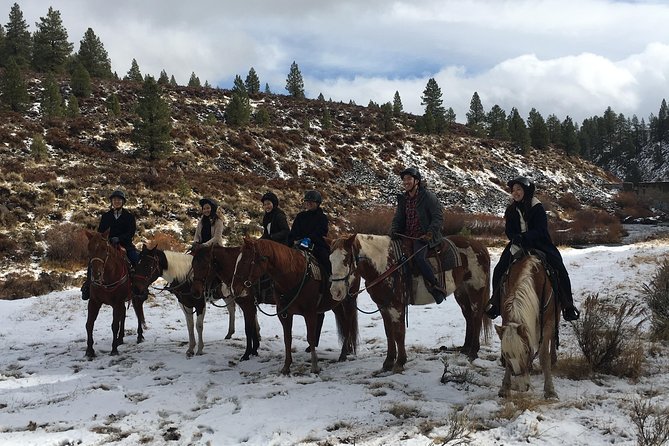 Horseback Riding Adventure from Reno - How the $240 price measures up