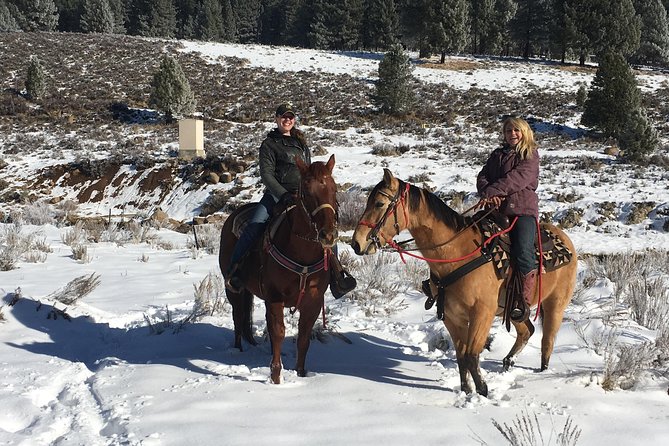 Horseback Riding Adventure from Reno - Beginners, children, and physical demands
