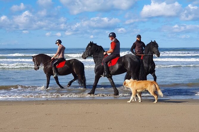Horseback Riding Adventure in Durrës for Experienced Riders - Meadows, forest, and beaches in one afternoon