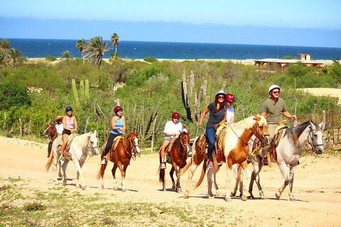 Horseback Riding Adventure in Playa Migriño with Tequila Tasting - Why the Horses Matter for Beginners