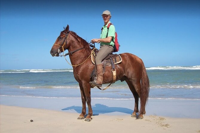Horseback Riding Adventure Punta Cana - Choosing a Horse and Getting Comfortable