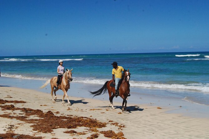 Horseback Riding Adventure Punta Cana - Wildlife, Weather, and the Photo Stops
