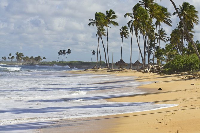 Horseback Riding Adventure Punta Cana - Should You Book the Punta Cana Beach Ride?