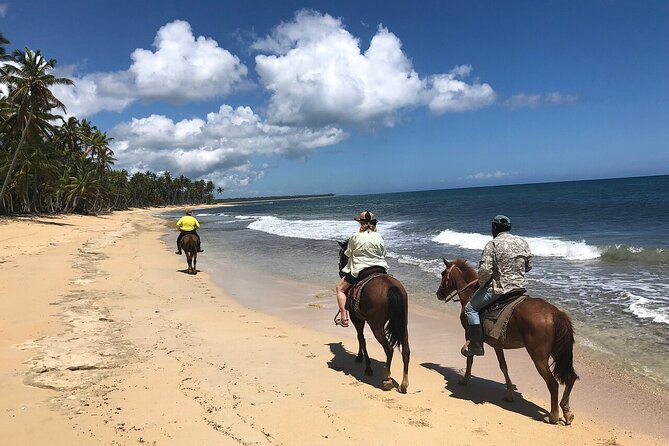 Horseback Riding Adventure to Macao Alto Beaches in Punta Cana - Getting comfortable with the horses