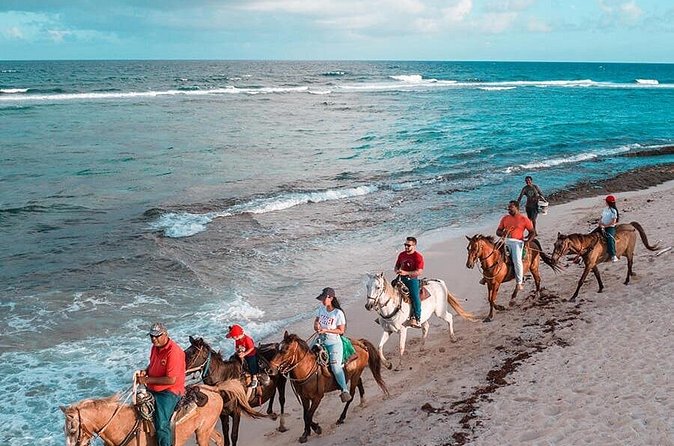 Horseback Riding Adventure to Macao Alto Beaches in Punta Cana - What the $84 price includes