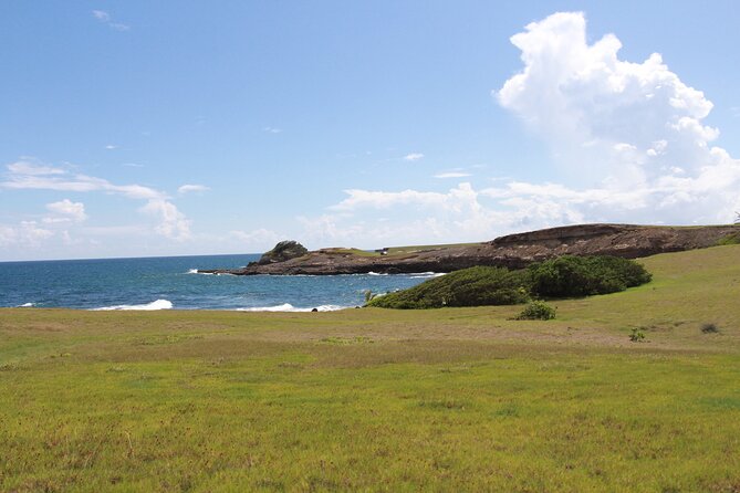 Horseback Riding Adventure Tour in St. Lucia - Drinks, snacks, and transfers add practical value