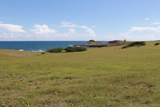 Horseback Riding Adventure Tour in St. Lucia - Timing, booking, and cancellation